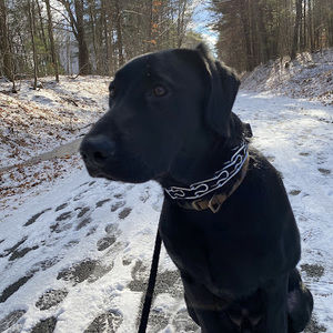 Meet your Posher, Bree